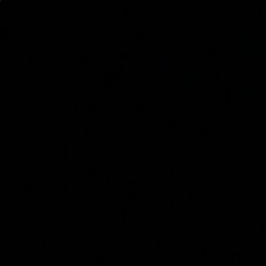 Meet your Posher, Braxton